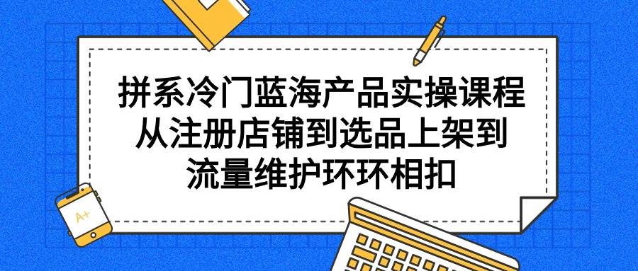拼系冷门蓝海产品实操课程，从注册店铺到选品上架到流量维护环环相扣-网创社区