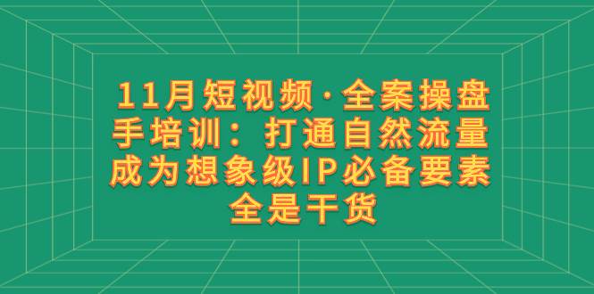 11月短视频·全案操盘手培训：打通自然流量 成为想象级IP必备要素 全是干货-网创社区