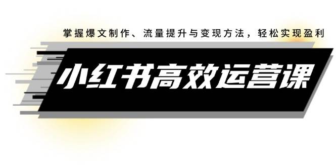 小红书高效运营课：掌握爆文制作、流量提升与变现方法，轻松实现盈利-网创社区