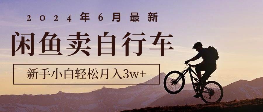 2024年6月最新闲鱼卖自行车，新手小白轻松月入3w+项目-网创社区