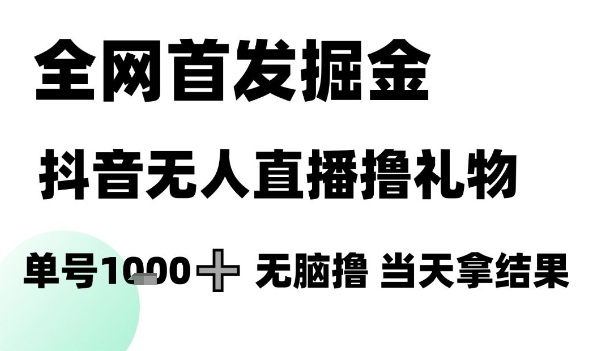 全网首发掘金抖音无人直播撸礼物，单号1k +无脑撸，当天拿结果【揭秘】-网创社区