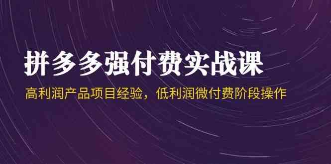 拼多多强付费实战课-44期，高利润产品项目经验，低利润微付费阶段操作-网创社区