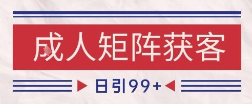小红书某音橙人赛道引流获客，自热矩阵日引200+【揭秘】-网创社区