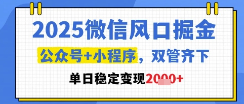 2025微信风口掘金，公众号+小程序双管齐下，单日稳定变现1k+【揭秘】-网创社区
