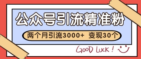 公众号精准粉引流玩法，2个月3000+精准粉，变现30个W【揭秘】-网创社区