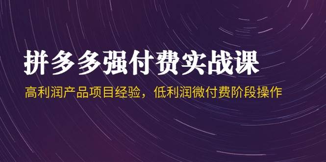 （14874期）拼多多强付费实战课-44期，高利润产品项目经验，低利润微付费阶段操作-网创社区