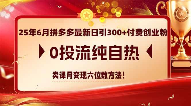 （14989期）25年6月拼多多最新日引300+付费创业粉，0投流纯自热 卖课月变现六位数方法-网创社区
