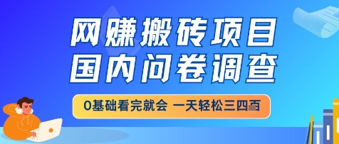 网创搬砖项目，国内问卷调查，小白轻松上手，一天三四张的也不难，干就完了【揭秘】-网创社区