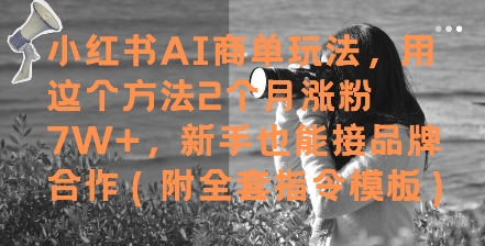小红书AI商单玩法，用这个方法2个月涨粉7W+，新手也能接品牌合作(附全套指令模板)-网创社区