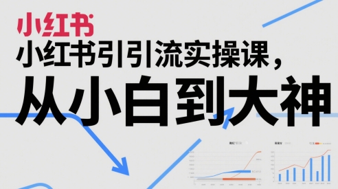 小红书引流实操课，从小白到大神-网创社区