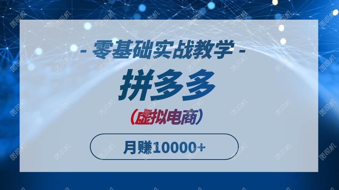 （14880期）拼多多虚拟电商，零基础实战教学，快速打爆商品，新手也能月入10000+-网创社区