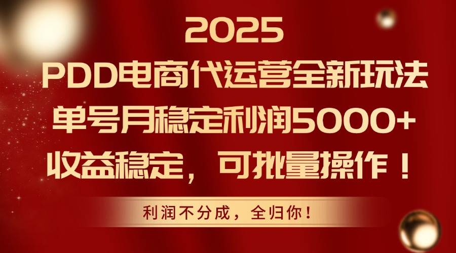 （14839期）2025PDD电商代运营全新玩法，单号月稳定利润5000+，收益稳定，可批量操作-网创社区