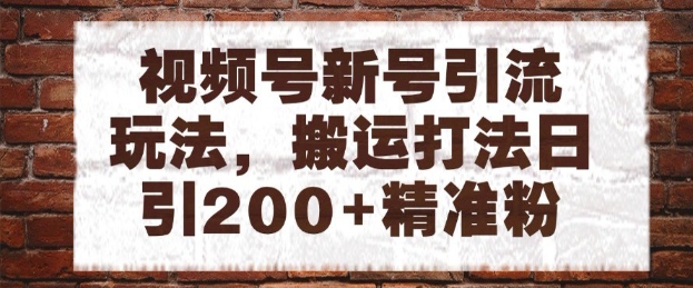 视频号新号引流玩法，搬运打法日引200+精准粉，可矩阵放大【揭秘】-网创社区