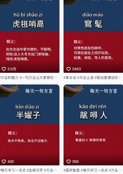 抖音最新涨粉玩法，图文方言暴力涨粉实操，126作品涨粉11W-网创社区