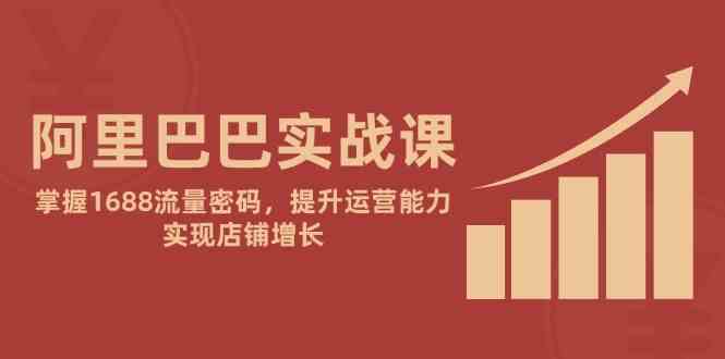 阿里巴巴实战课：掌握1688流量密码，提升运营能力，实现店铺增长-网创社区