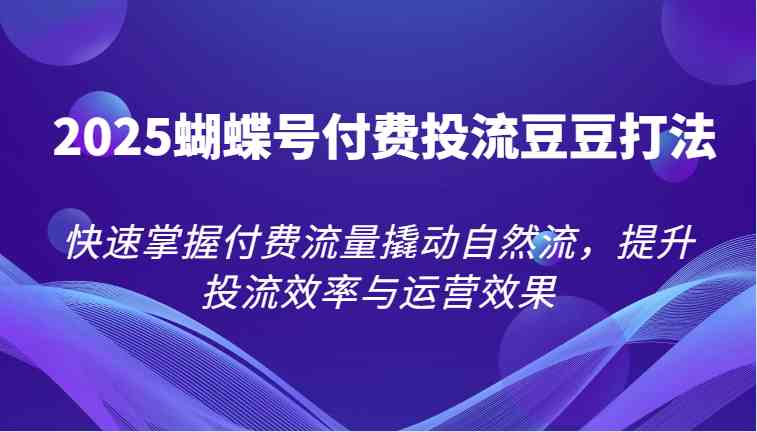 2025蝴蝶号付费投流豆豆打法，快速掌握付费流量撬动自然流，提升投流效率与运营效果-网创社区