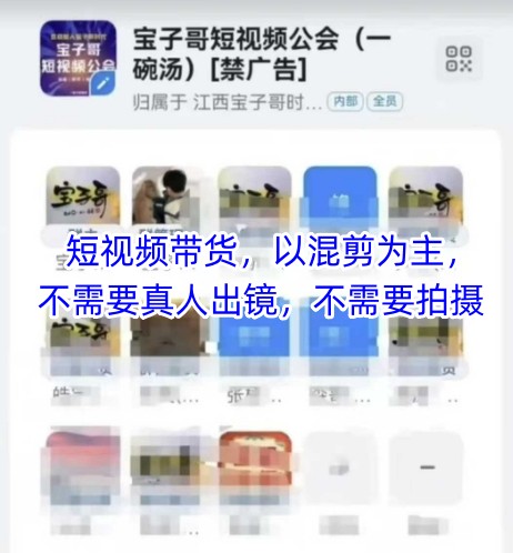 宝子哥头部团队短视频带货，以混剪为主，不需要真人出镜，不需要拍摄【更新】-网创社区