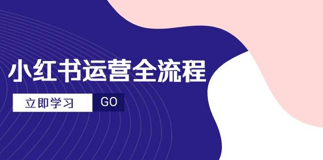 （14861期）小红书运营全流程，爆款选题文案，视频制作技巧，进阶达人宝典-网创社区