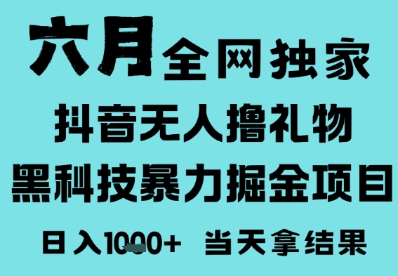 25年6月高爆抖音无人直播最新撸音浪掘金项目，门槛低小白可做，无脑日入1k，可矩阵放大【揭秘】-网创社区