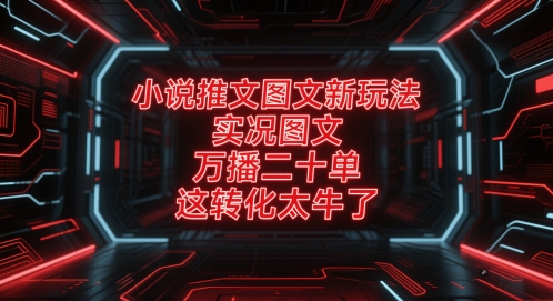 小说推文图文新玩法，实况图文，万播二十单，这转化太牛了！-网创社区